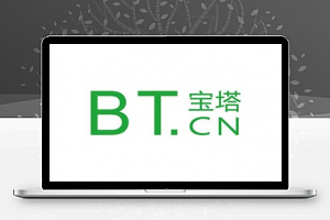 解决BT宝塔控制面板加载慢的问题 久久鱼塘